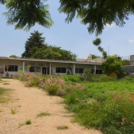 Casa De Huespedes Colmena Hotel ตลายาคาปาน ภายนอก รูปภาพ