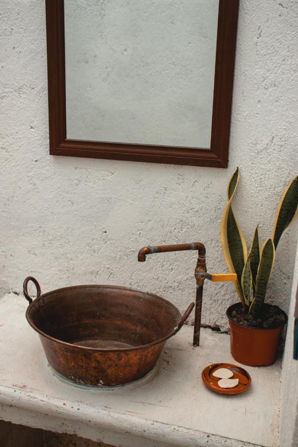 Casa De Huespedes Colmena Hotel ตลายาคาปาน ภายนอก รูปภาพ