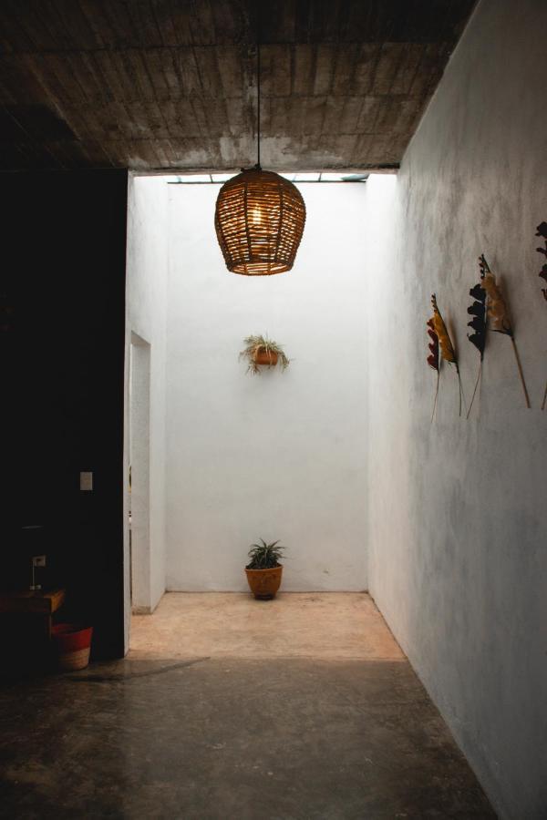 Casa De Huespedes Colmena Hotel ตลายาคาปาน ภายนอก รูปภาพ