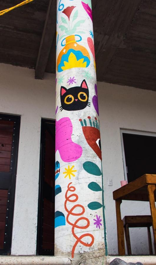 Casa De Huespedes Colmena Hotel ตลายาคาปาน ภายนอก รูปภาพ